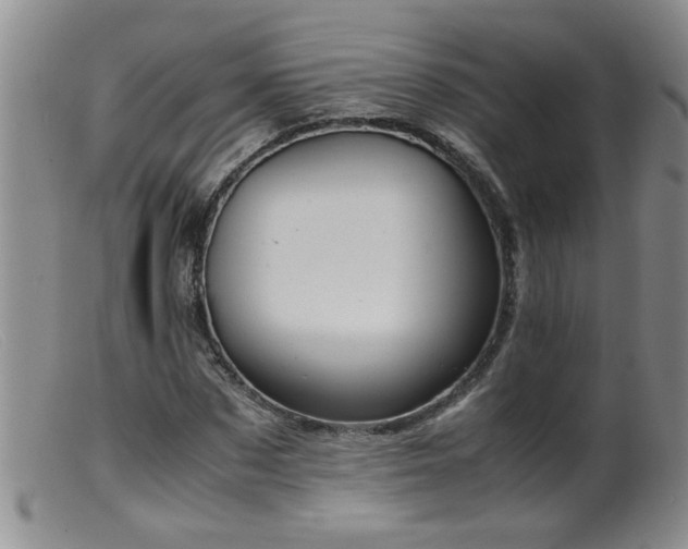 X0000099460873200805161044