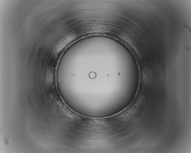 X0000099460874200805161044