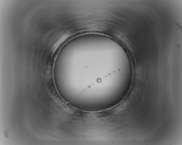 X0000099460875200805161044