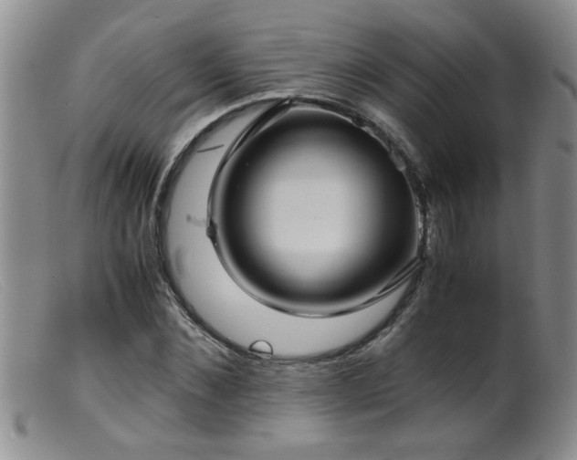 X0000099460876200805161044