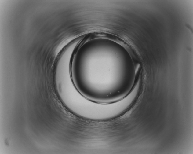 X0000099460877200805161044