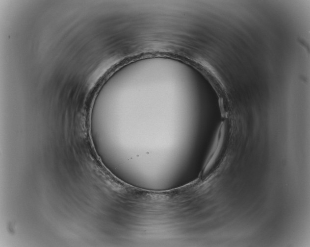 X0000099460878200805161044