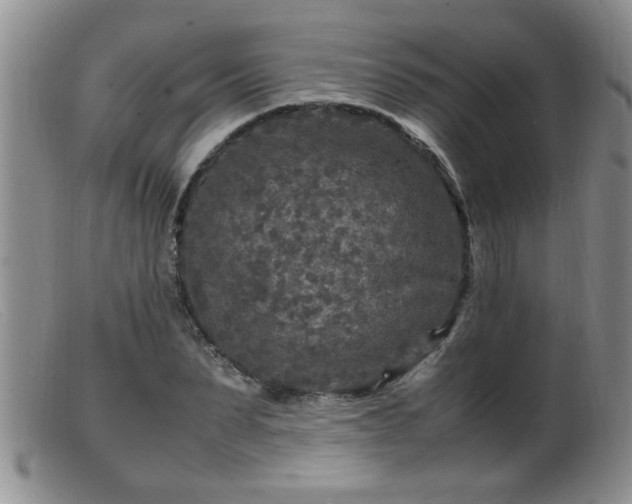 X0000099460879200805161044