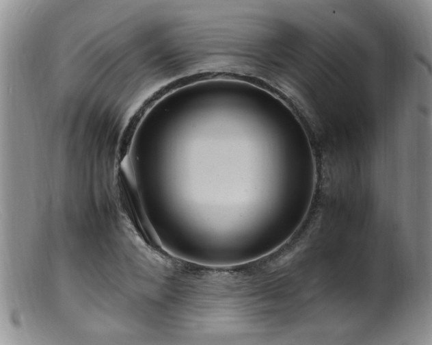 X0000099460880200805161044