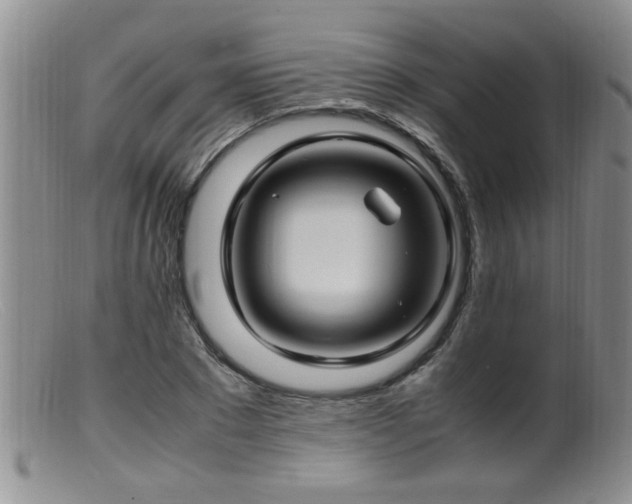 X0000099460881200805161044