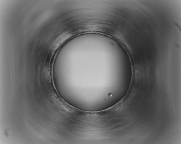 X0000099460882200805161044