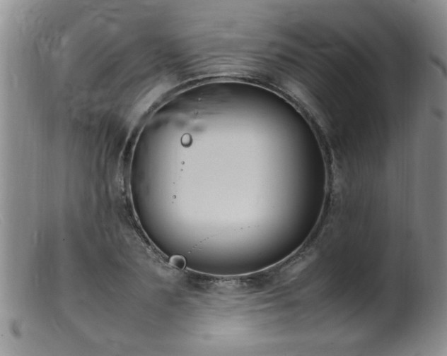 X0000099460883200805161044