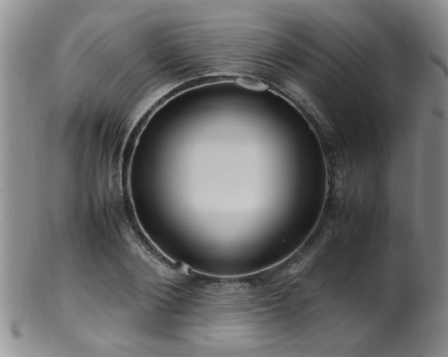 X0000099460884200805161044