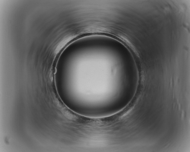 X0000099460885200805161044