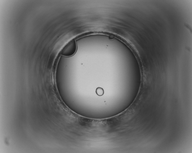 X0000099460887200805161044