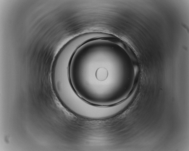 X0000099460888200805161044