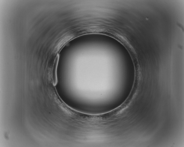 X0000099460889200805161044