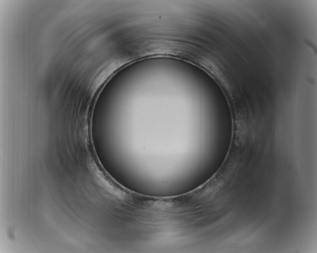 X0000099460890200805161044