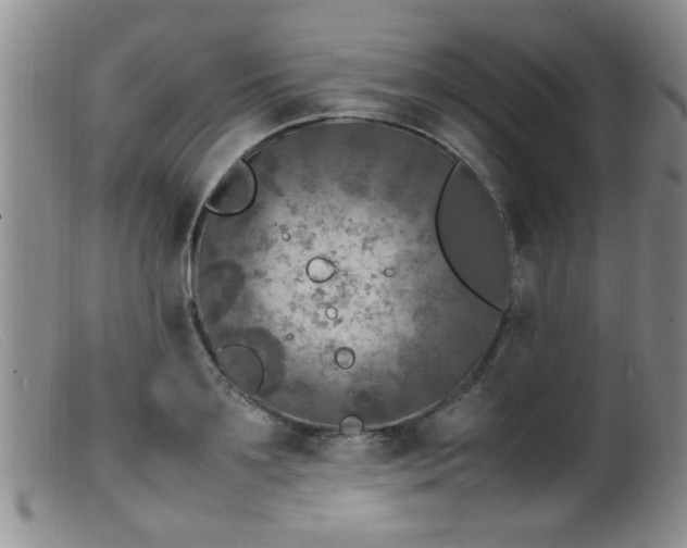 X0000099460891200805161044