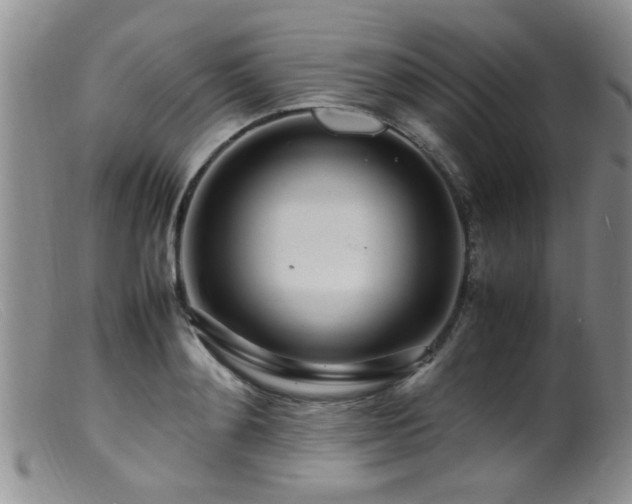 X0000099460892200805161044