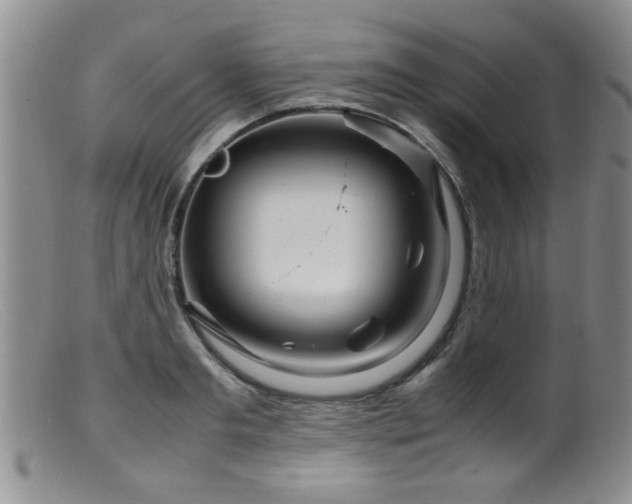 X0000099460893200805161044