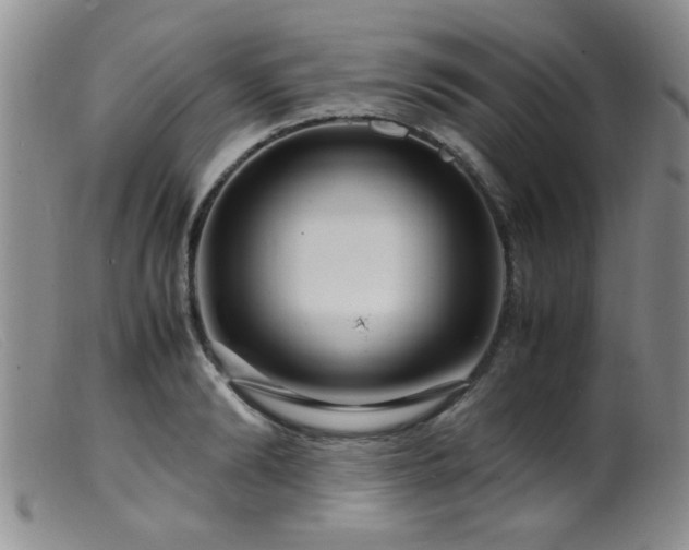 X0000099460894200805161044