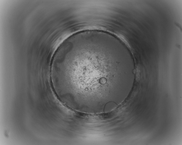 X0000099460895200805161044