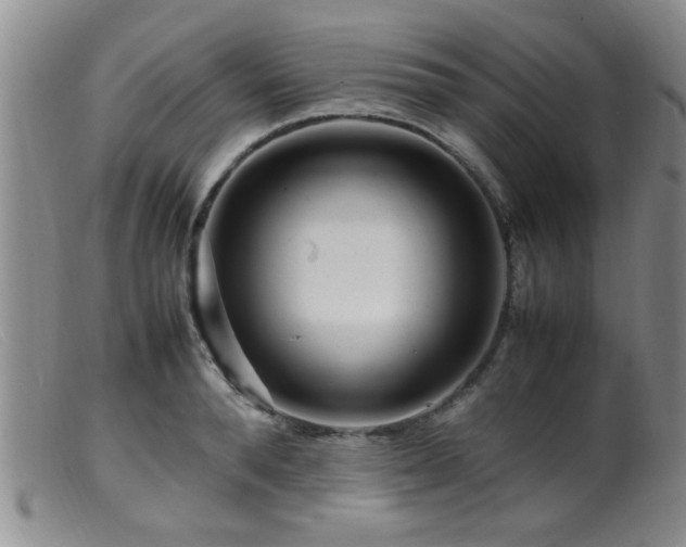 X0000099460896200805161044