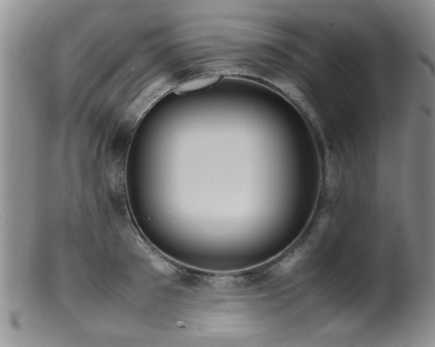 X0000099460897200805161044