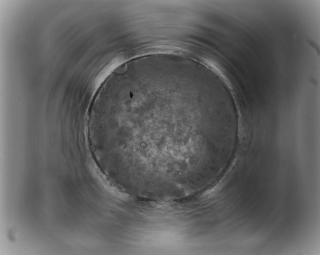 X0000099460899200805161044