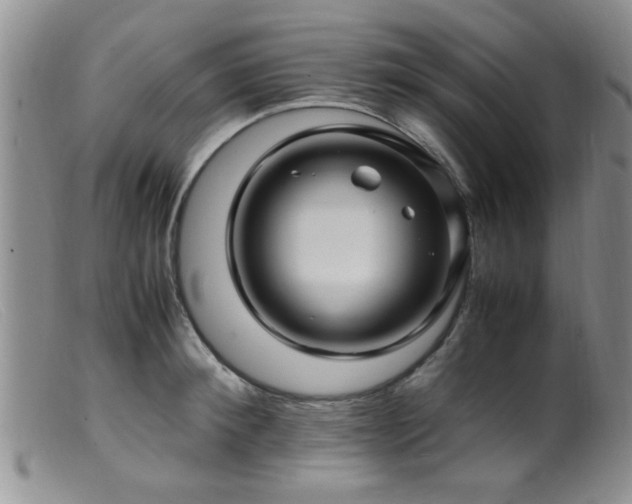 X0000099460900200805161044