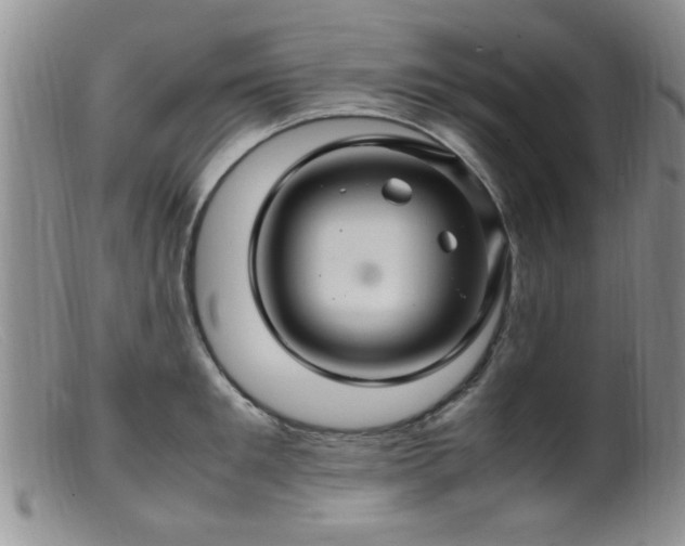 X0000099460901200805161044