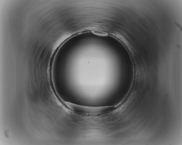 X0000099460902200805161044