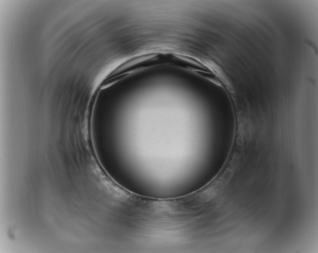 X0000099460904200805161044