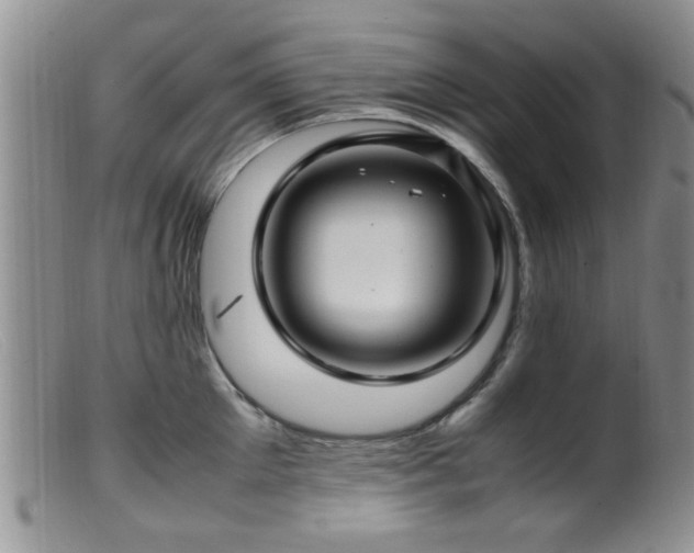 X0000099460905200805161044