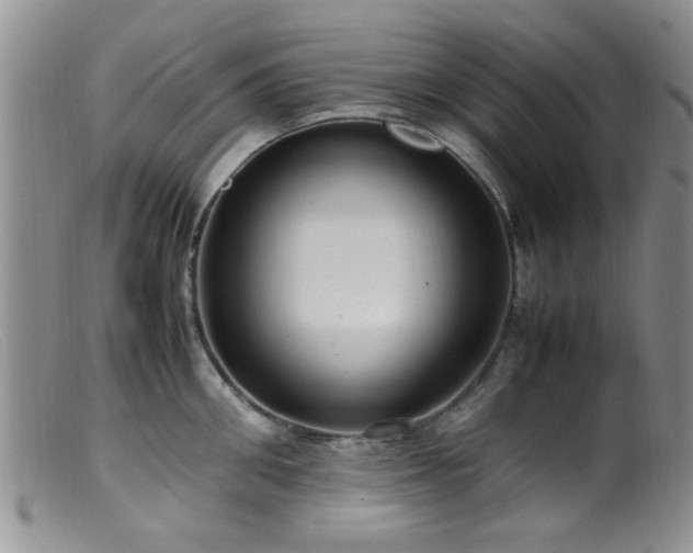 X0000099460906200805161044