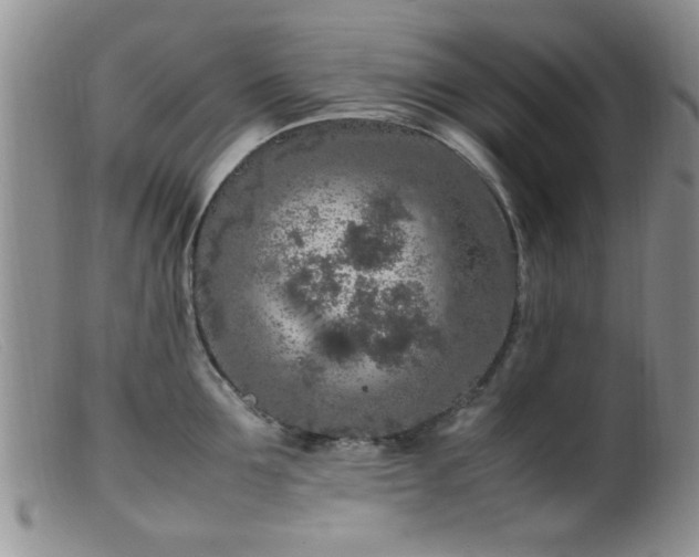 X0000099460907200805161044