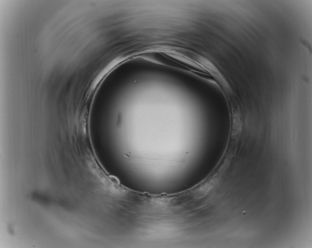 X0000099460908200805161044