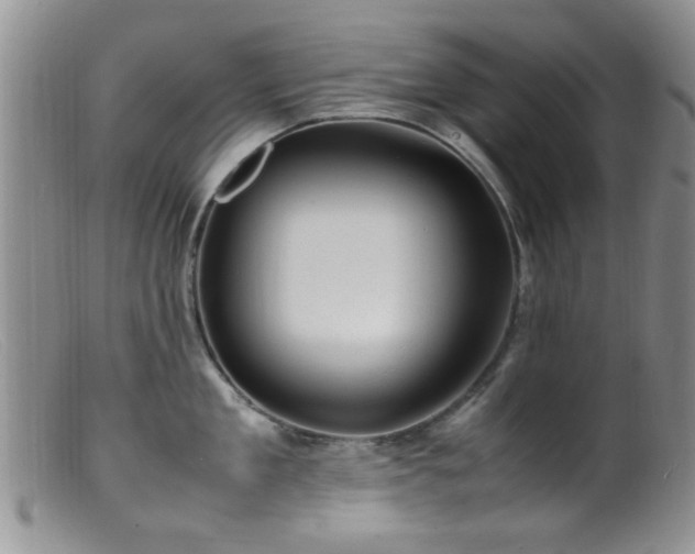 X0000099460909200805161044