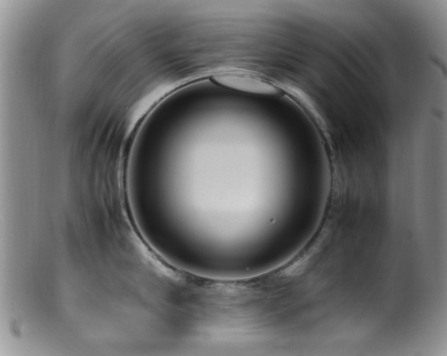 X0000099460910200805161044