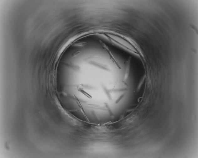 X0000099460911200805161044