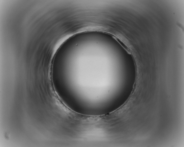 X0000099460912200805161044