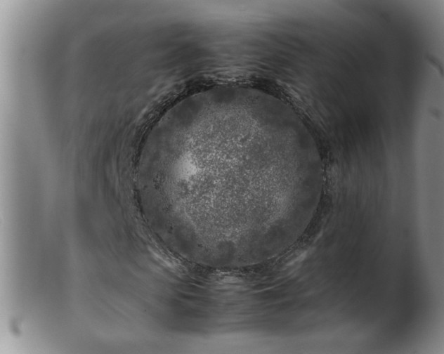 X0000099460913200805161043