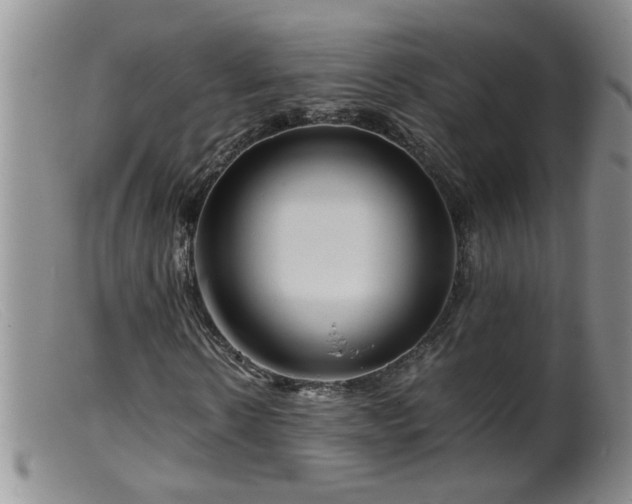 X0000099460914200805161043