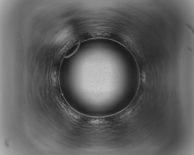 X0000099460915200805161043