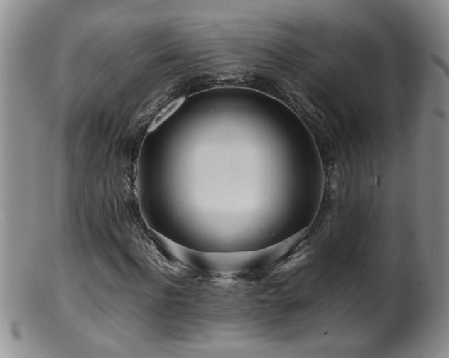 X0000099460916200805161043