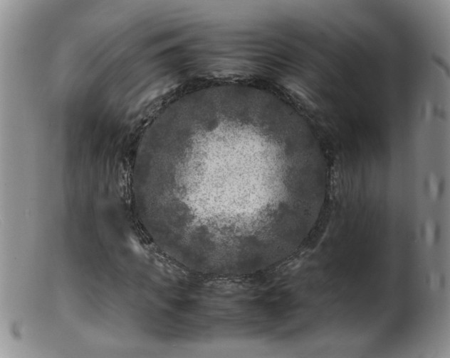 X0000099460917200805161043