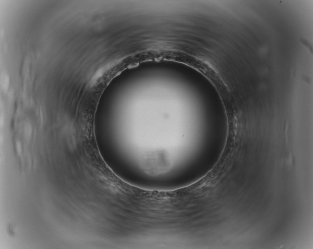 X0000099460919200805161043