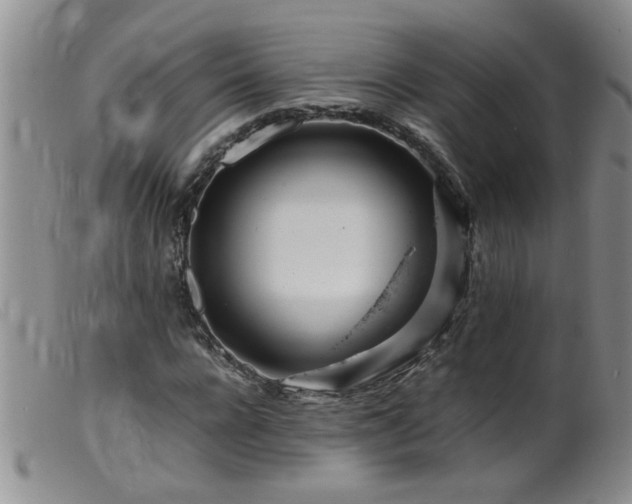 X0000099460920200805161043