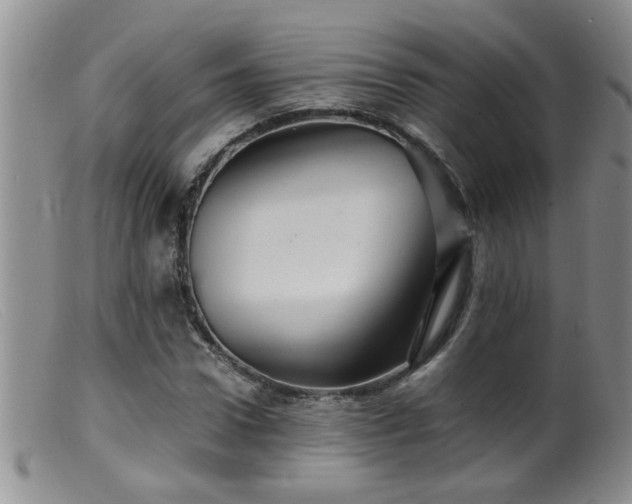 X0000099460922200805161043