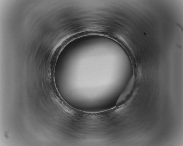 X0000099460923200805161043