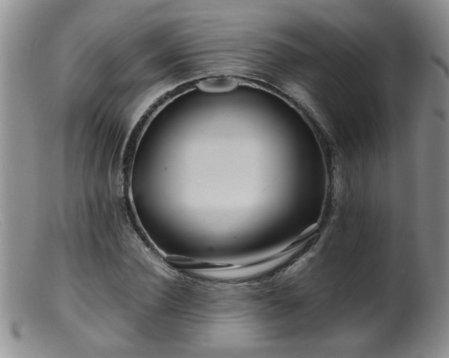 X0000099460924200805161043