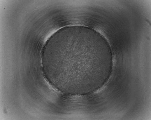 X0000099460925200805161043