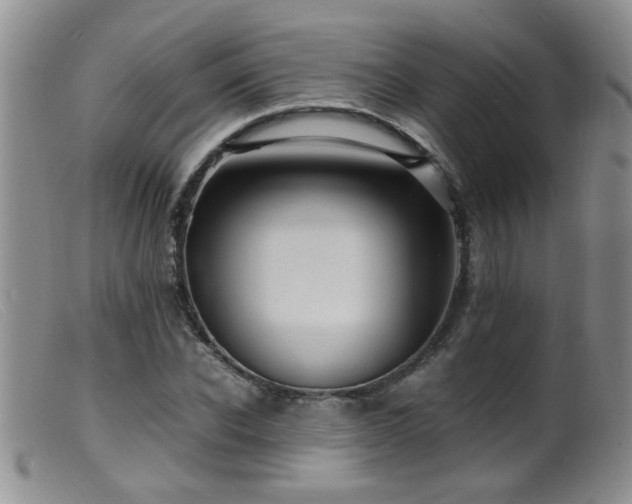 X0000099460926200805161043