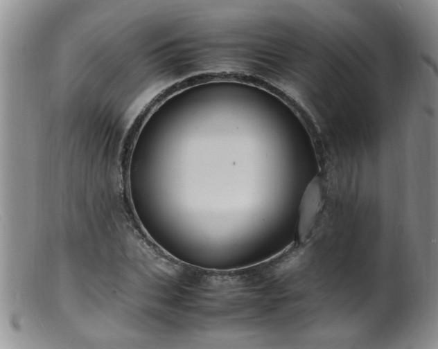 X0000099460927200805161043